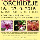 orchideje2015_2-korekce.jpg